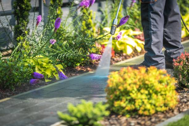 Best Gutter Cleaning  in , NV