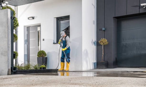 Best Driveway Pressure Washing  in , NV
